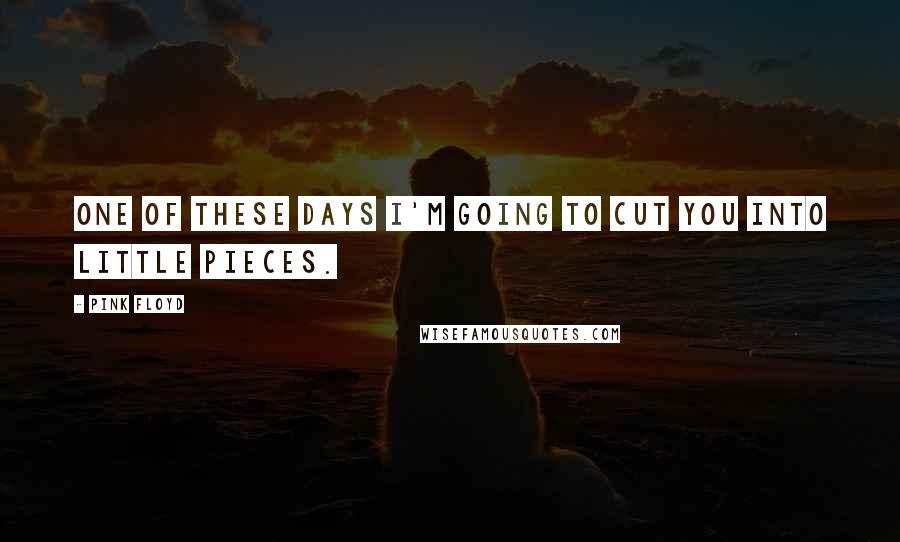 Pink Floyd Quotes: One of These Days I'm Going to Cut You Into Little Pieces.