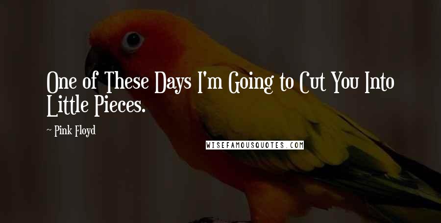 Pink Floyd Quotes: One of These Days I'm Going to Cut You Into Little Pieces.