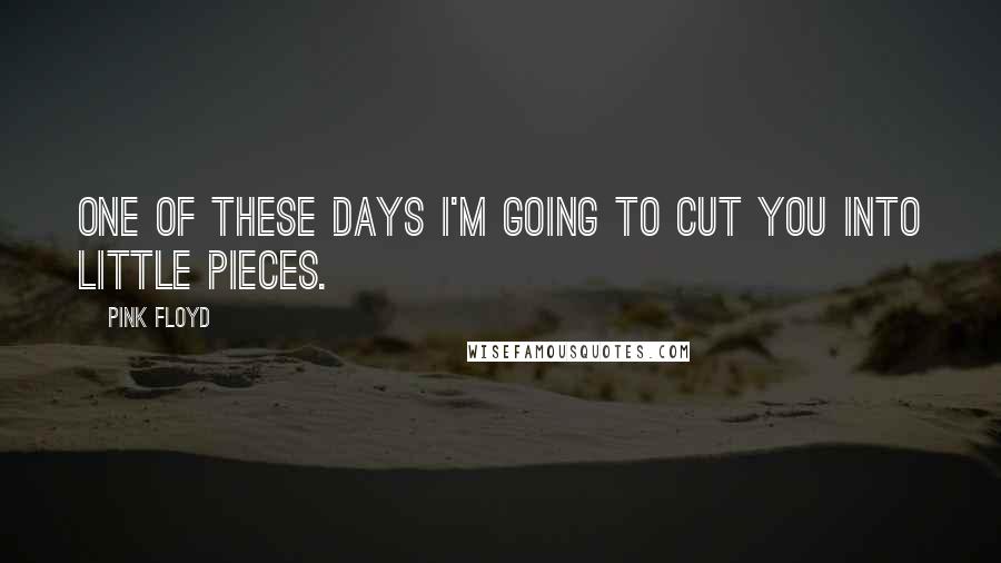 Pink Floyd Quotes: One of These Days I'm Going to Cut You Into Little Pieces.