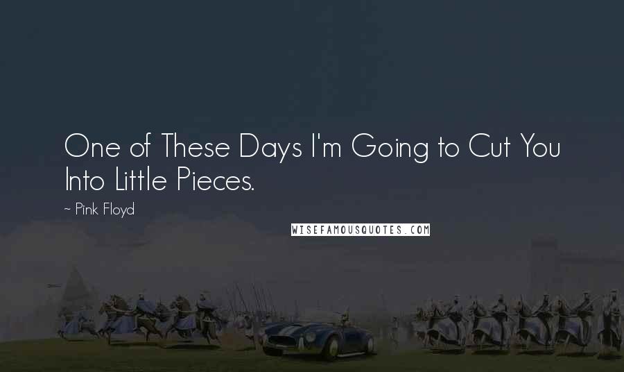 Pink Floyd Quotes: One of These Days I'm Going to Cut You Into Little Pieces.