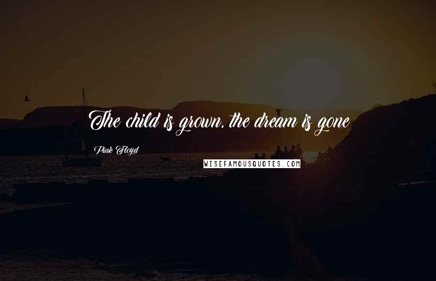 Pink Floyd Quotes: The child is grown, the dream is gone