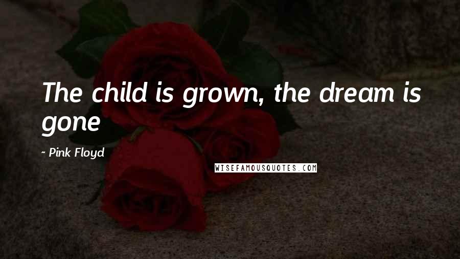 Pink Floyd Quotes: The child is grown, the dream is gone