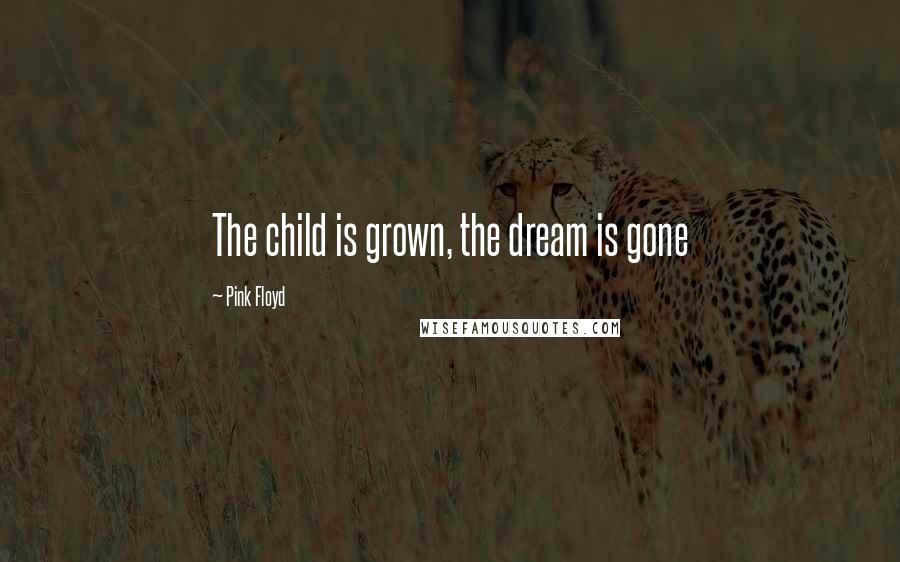 Pink Floyd Quotes: The child is grown, the dream is gone