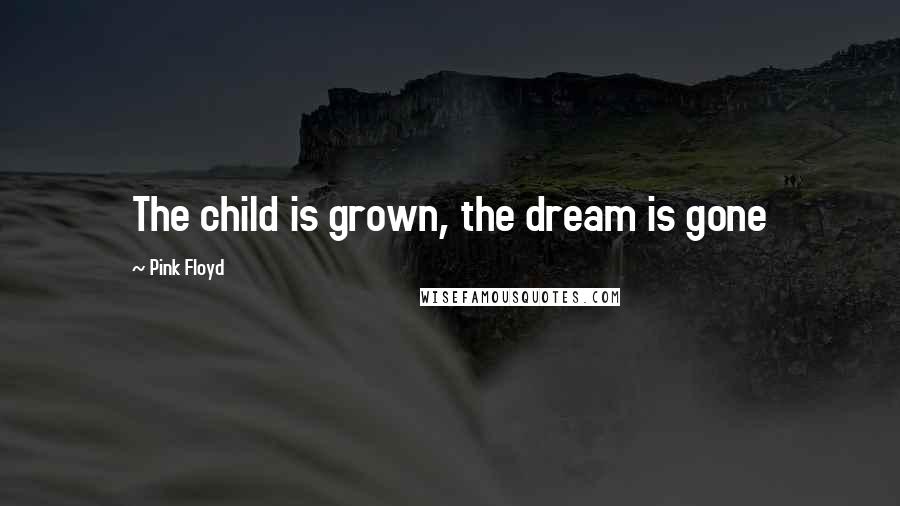 Pink Floyd Quotes: The child is grown, the dream is gone