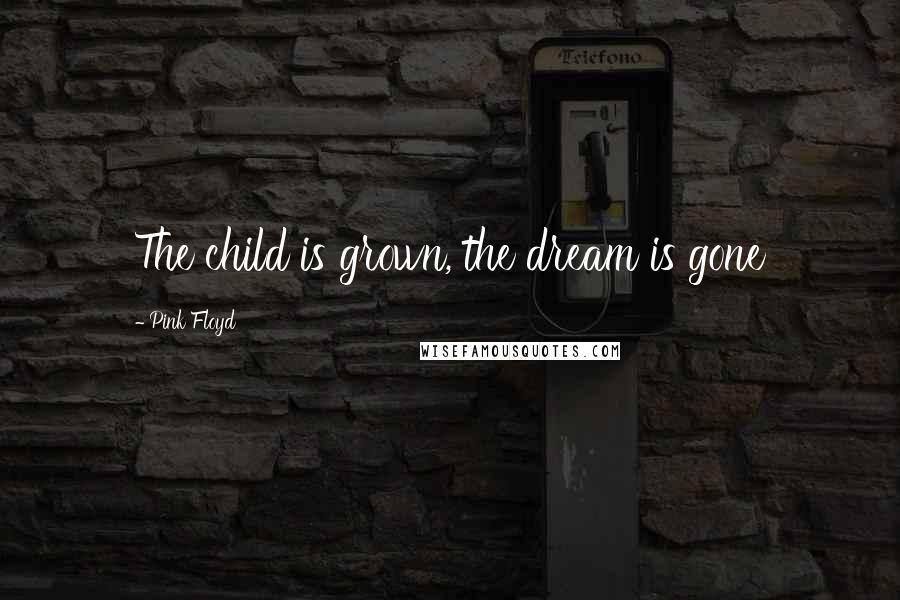 Pink Floyd Quotes: The child is grown, the dream is gone