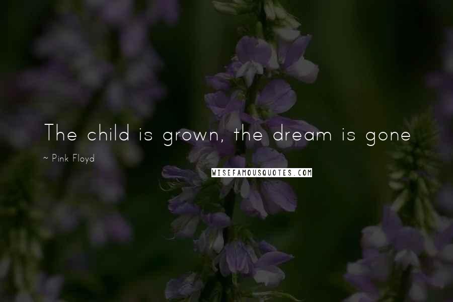 Pink Floyd Quotes: The child is grown, the dream is gone