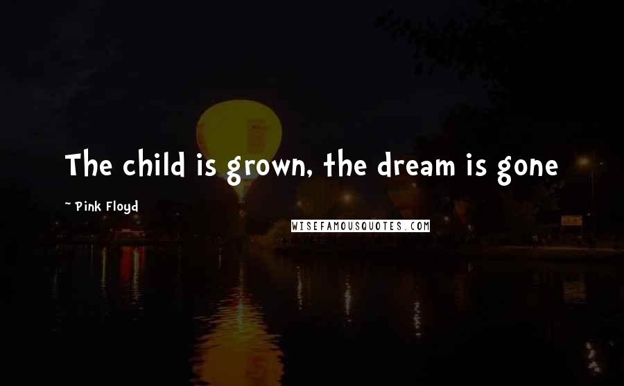 Pink Floyd Quotes: The child is grown, the dream is gone