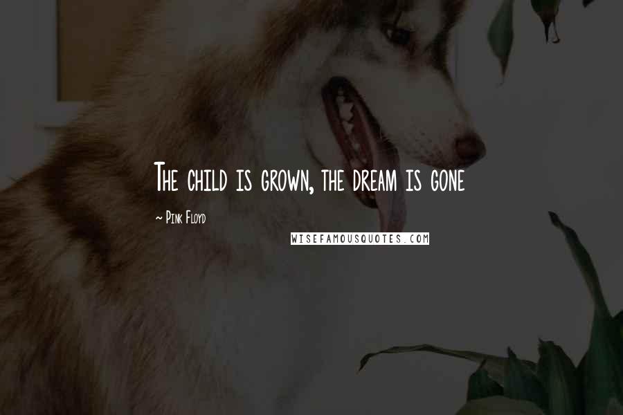 Pink Floyd Quotes: The child is grown, the dream is gone