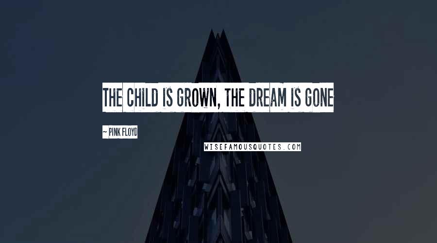 Pink Floyd Quotes: The child is grown, the dream is gone