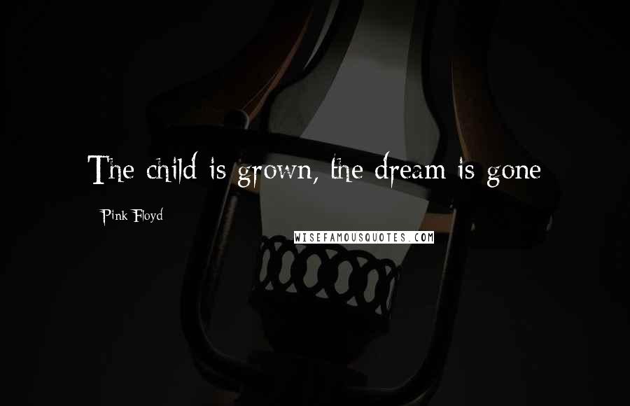 Pink Floyd Quotes: The child is grown, the dream is gone
