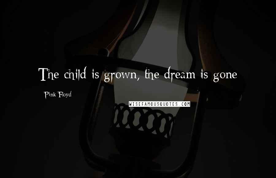 Pink Floyd Quotes: The child is grown, the dream is gone