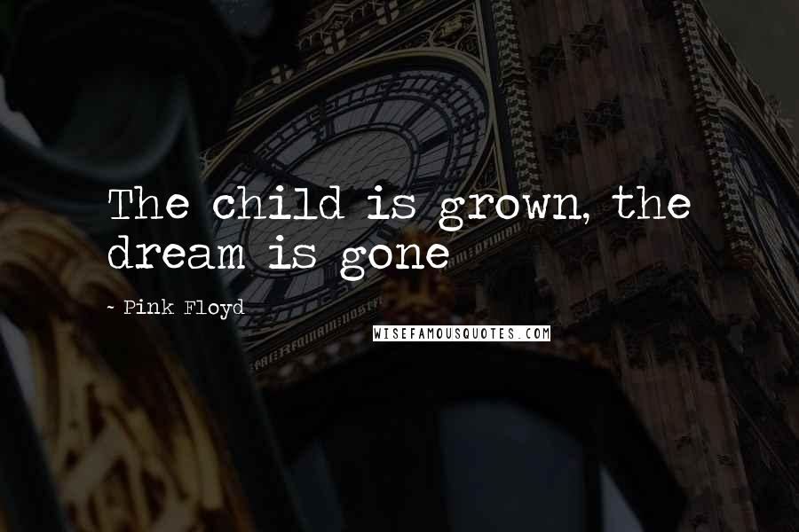 Pink Floyd Quotes: The child is grown, the dream is gone