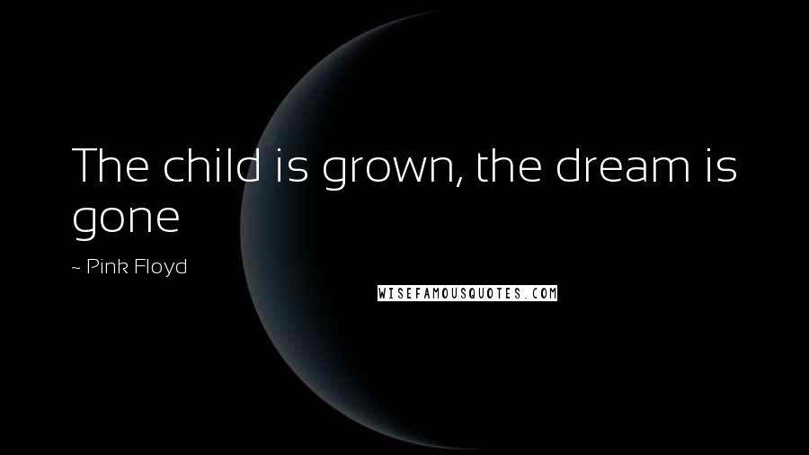 Pink Floyd Quotes: The child is grown, the dream is gone