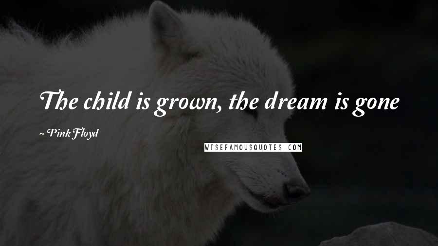 Pink Floyd Quotes: The child is grown, the dream is gone