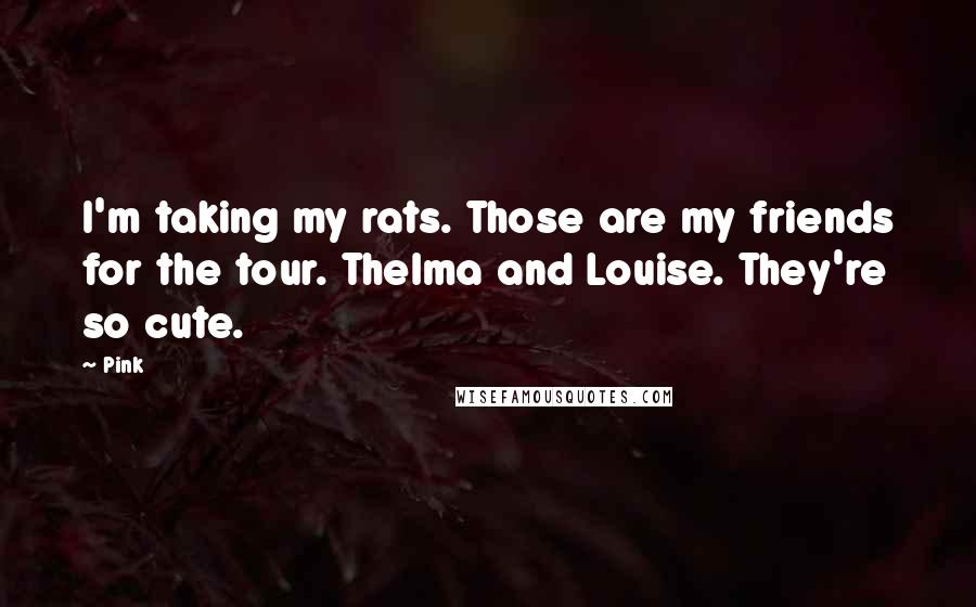 Pink Quotes: I'm taking my rats. Those are my friends for the tour. Thelma and Louise. They're so cute.