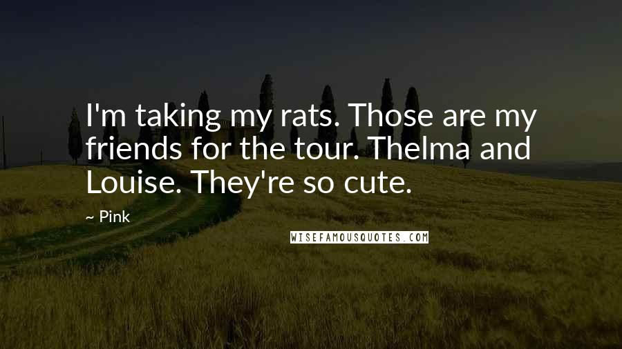 Pink Quotes: I'm taking my rats. Those are my friends for the tour. Thelma and Louise. They're so cute.
