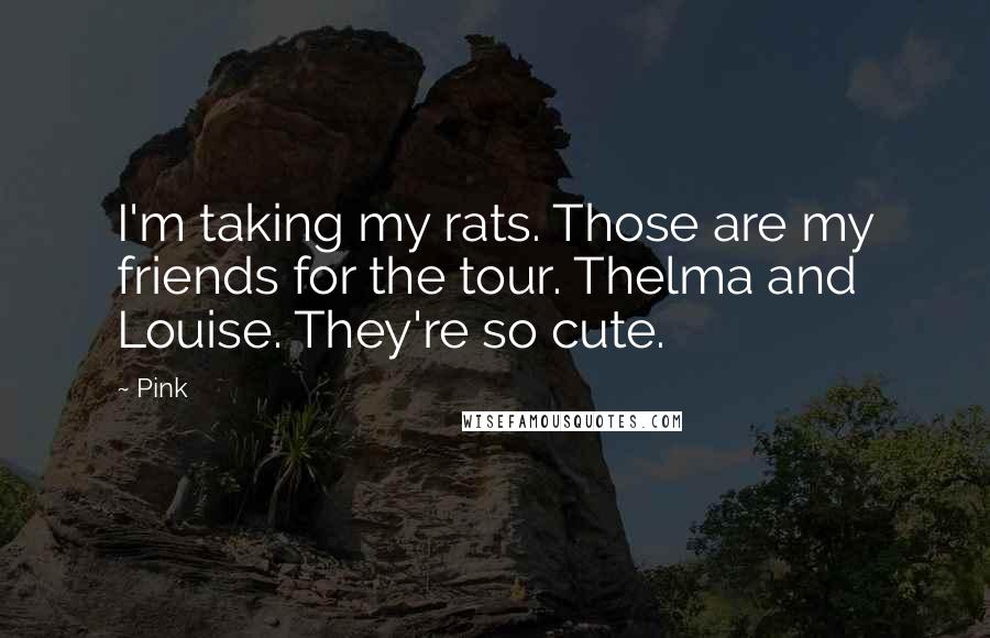 Pink Quotes: I'm taking my rats. Those are my friends for the tour. Thelma and Louise. They're so cute.