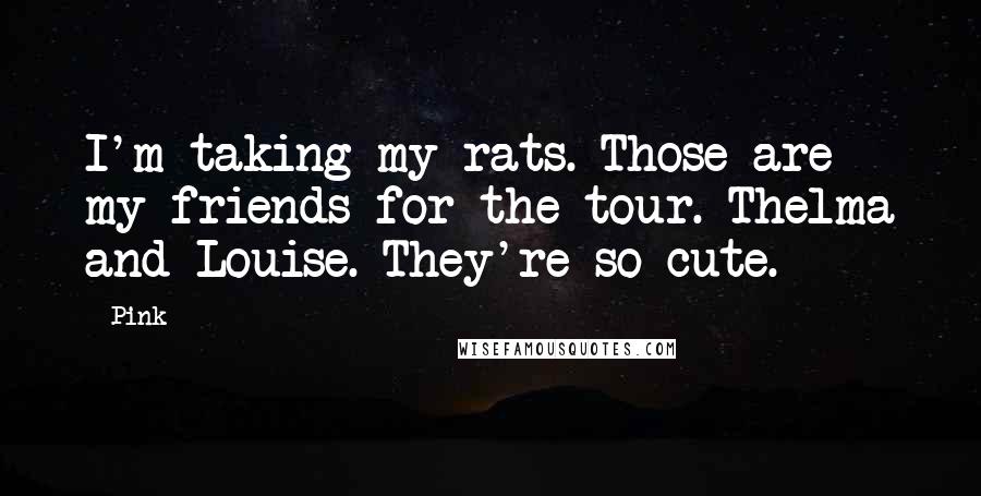 Pink Quotes: I'm taking my rats. Those are my friends for the tour. Thelma and Louise. They're so cute.