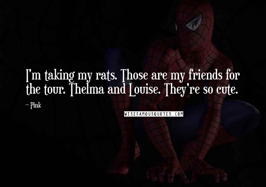 Pink Quotes: I'm taking my rats. Those are my friends for the tour. Thelma and Louise. They're so cute.