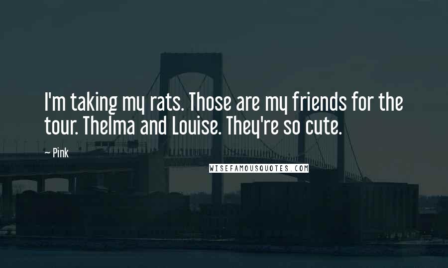 Pink Quotes: I'm taking my rats. Those are my friends for the tour. Thelma and Louise. They're so cute.