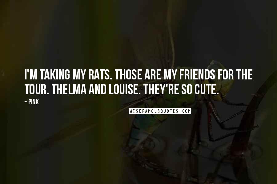 Pink Quotes: I'm taking my rats. Those are my friends for the tour. Thelma and Louise. They're so cute.