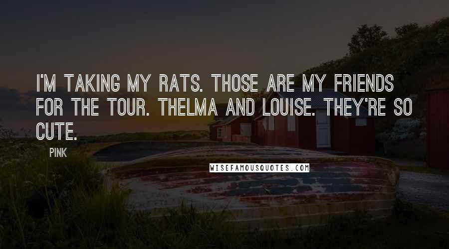 Pink Quotes: I'm taking my rats. Those are my friends for the tour. Thelma and Louise. They're so cute.