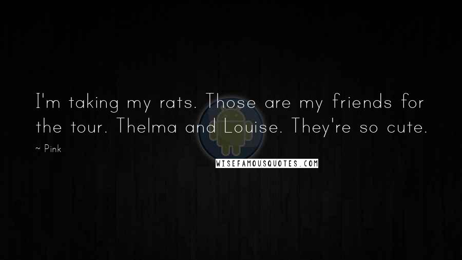 Pink Quotes: I'm taking my rats. Those are my friends for the tour. Thelma and Louise. They're so cute.