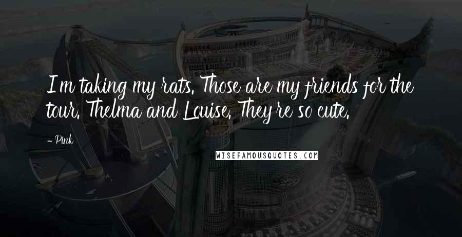 Pink Quotes: I'm taking my rats. Those are my friends for the tour. Thelma and Louise. They're so cute.