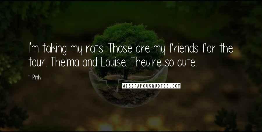 Pink Quotes: I'm taking my rats. Those are my friends for the tour. Thelma and Louise. They're so cute.