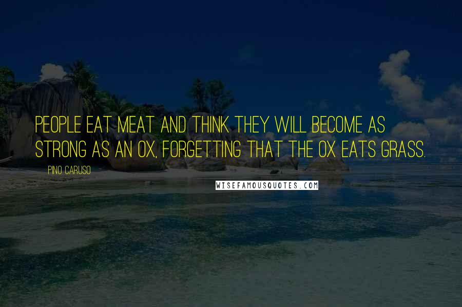 Pino Caruso Quotes: People eat meat and think they will become as strong as an ox, forgetting that the ox eats grass.