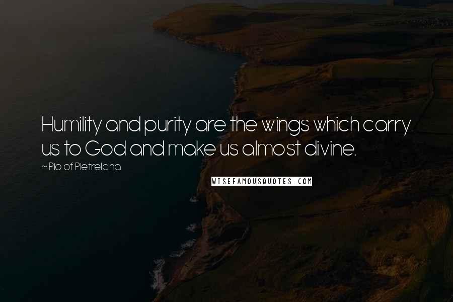 Pio Of Pietrelcina Quotes: Humility and purity are the wings which carry us to God and make us almost divine.