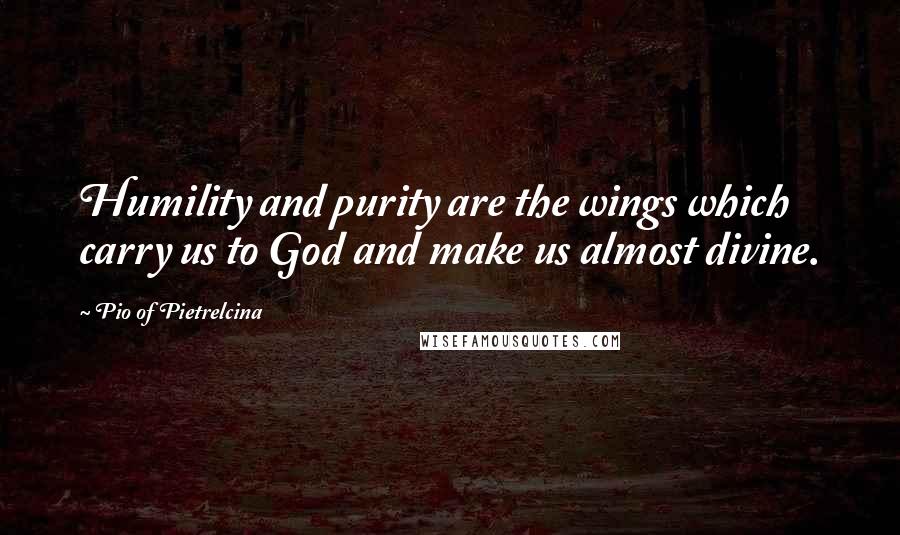 Pio Of Pietrelcina Quotes: Humility and purity are the wings which carry us to God and make us almost divine.