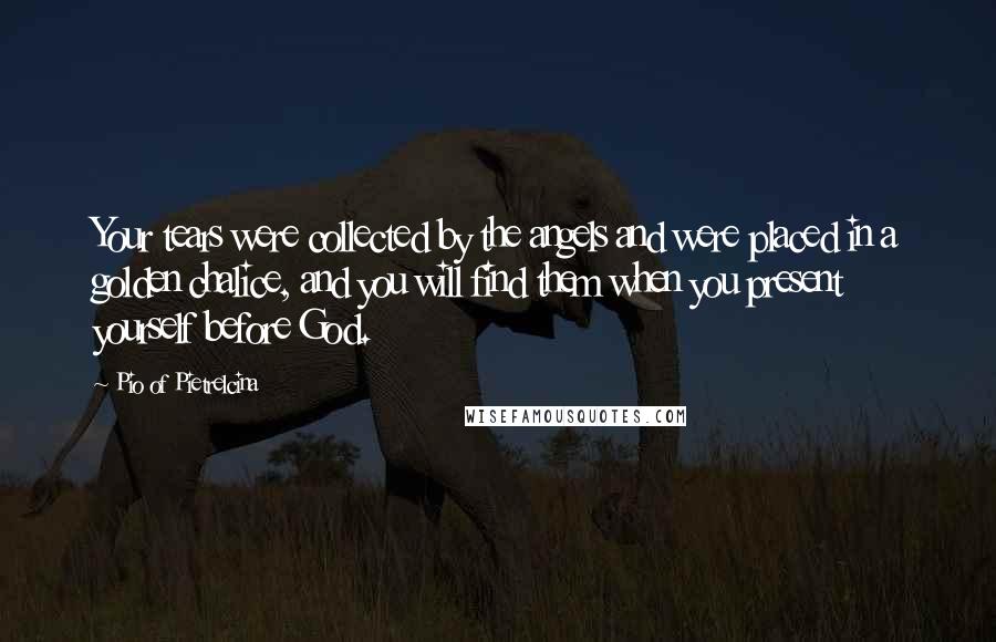 Pio Of Pietrelcina Quotes: Your tears were collected by the angels and were placed in a golden chalice, and you will find them when you present yourself before God.