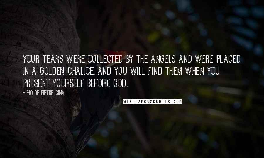 Pio Of Pietrelcina Quotes: Your tears were collected by the angels and were placed in a golden chalice, and you will find them when you present yourself before God.