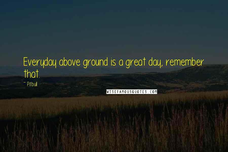 Pitbull Quotes: Everyday above ground is a great day, remember that.