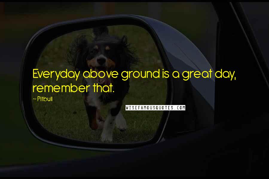 Pitbull Quotes: Everyday above ground is a great day, remember that.