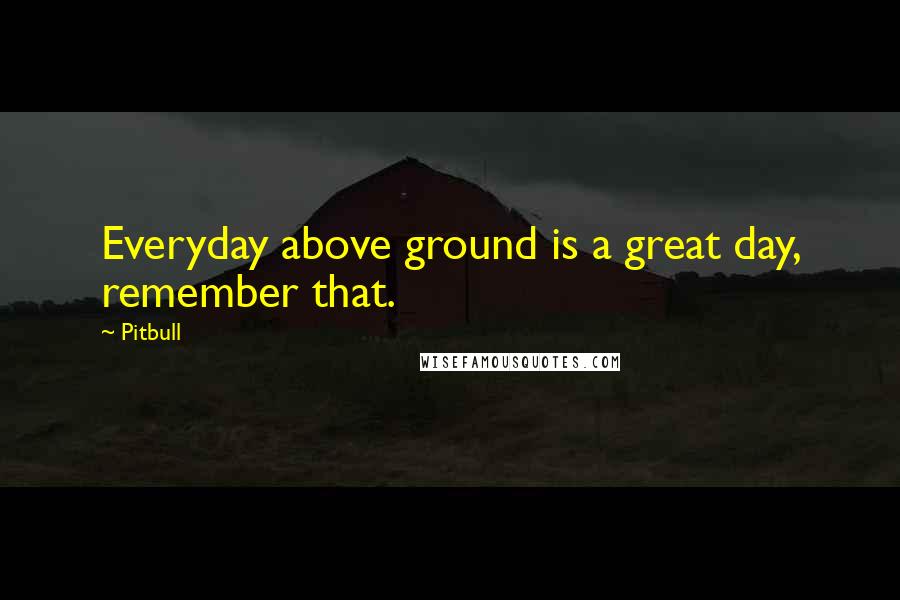 Pitbull Quotes: Everyday above ground is a great day, remember that.