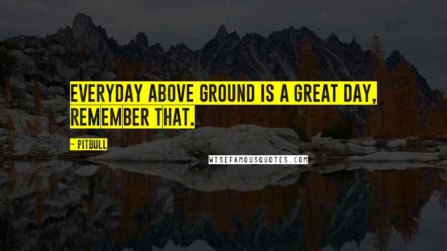 Pitbull Quotes: Everyday above ground is a great day, remember that.