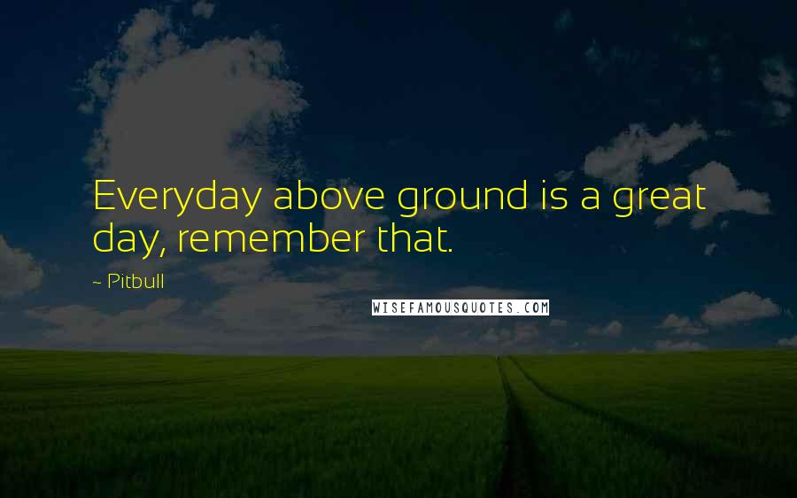 Pitbull Quotes: Everyday above ground is a great day, remember that.