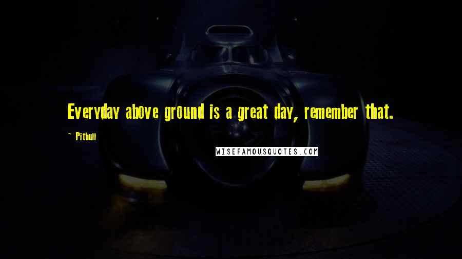 Pitbull Quotes: Everyday above ground is a great day, remember that.