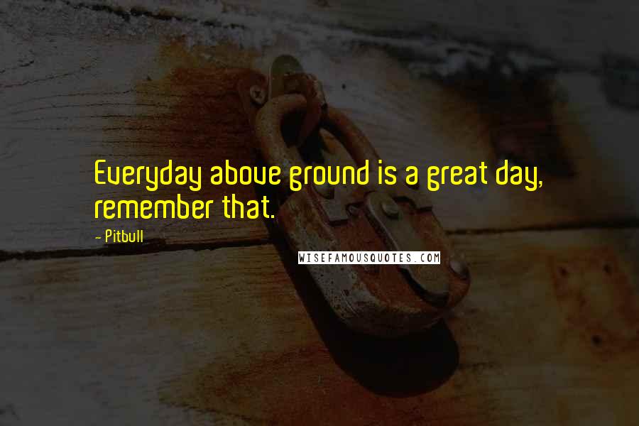 Pitbull Quotes: Everyday above ground is a great day, remember that.