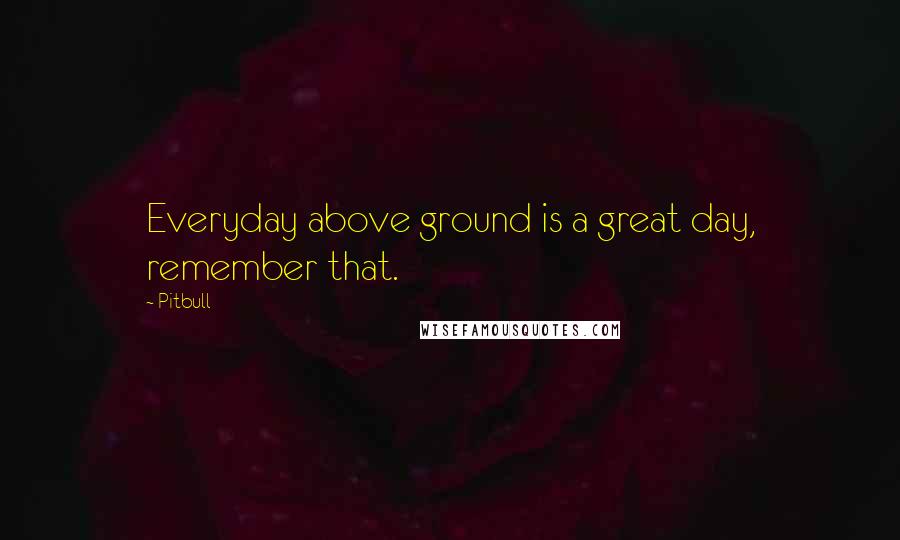 Pitbull Quotes: Everyday above ground is a great day, remember that.