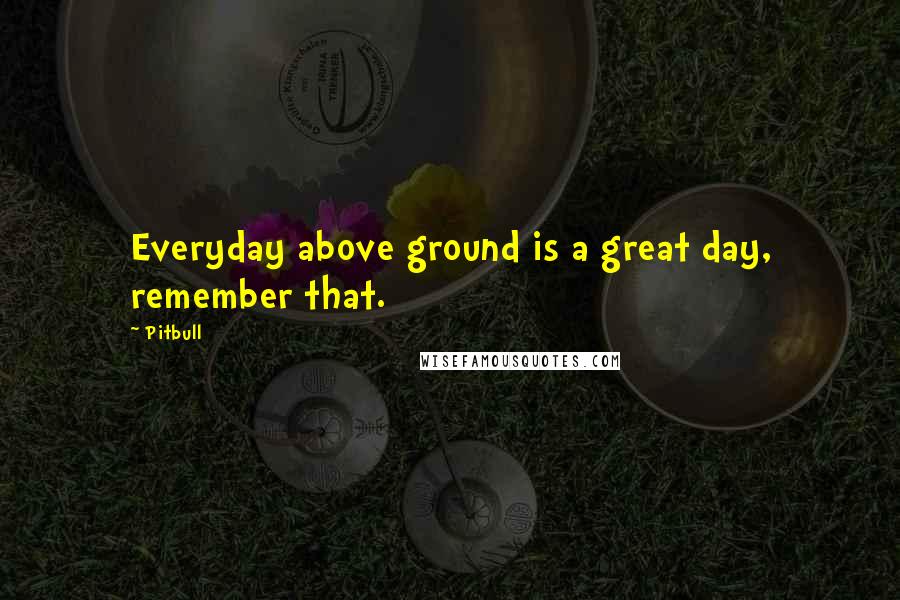 Pitbull Quotes: Everyday above ground is a great day, remember that.