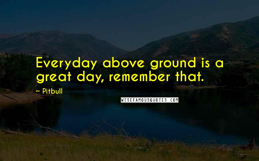 Pitbull Quotes: Everyday above ground is a great day, remember that.