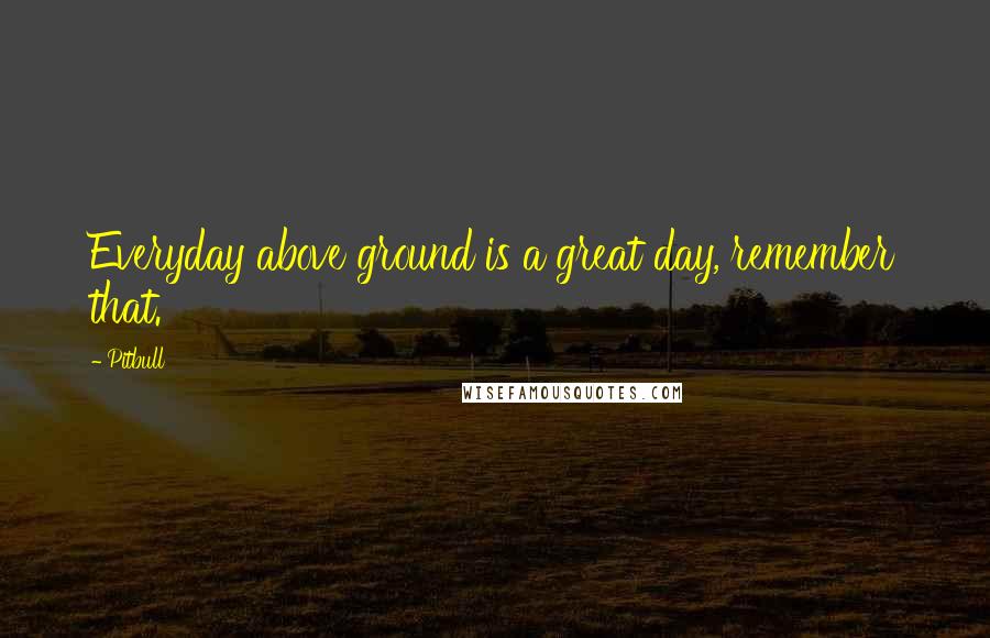 Pitbull Quotes: Everyday above ground is a great day, remember that.