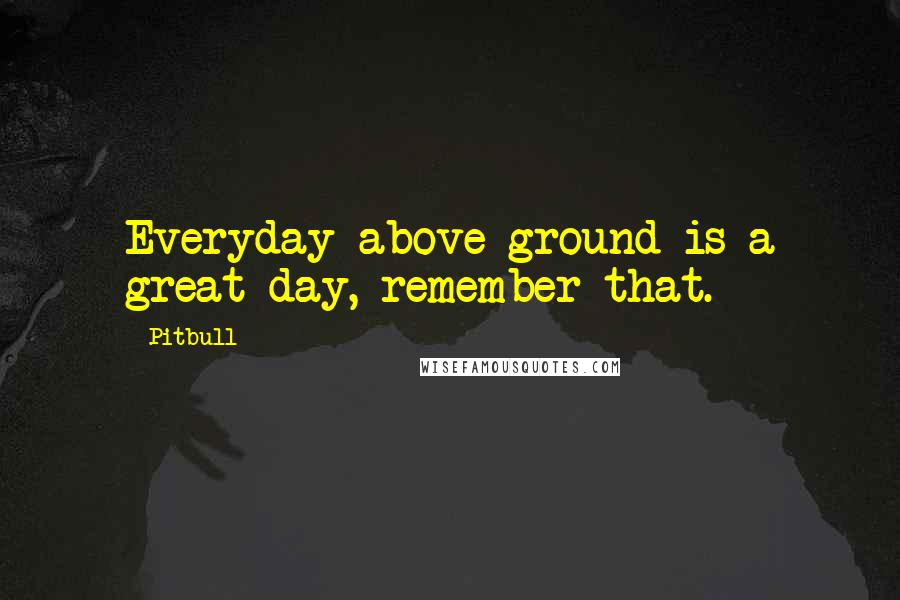 Pitbull Quotes: Everyday above ground is a great day, remember that.