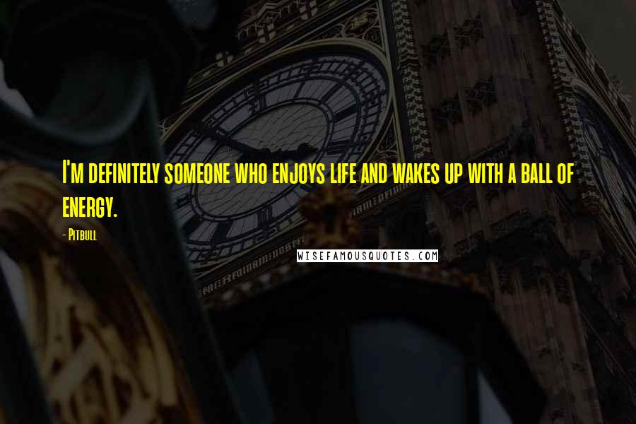 Pitbull Quotes: I'm definitely someone who enjoys life and wakes up with a ball of energy.