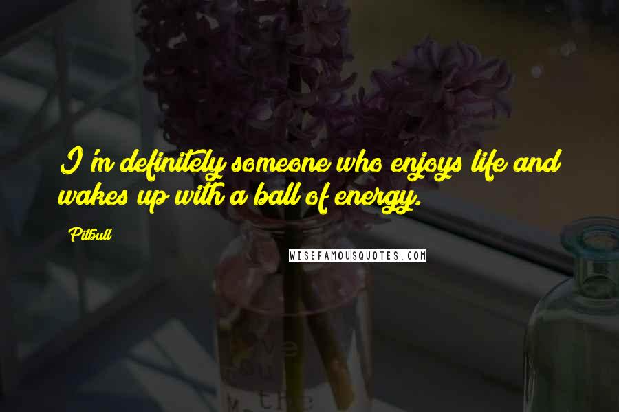 Pitbull Quotes: I'm definitely someone who enjoys life and wakes up with a ball of energy.