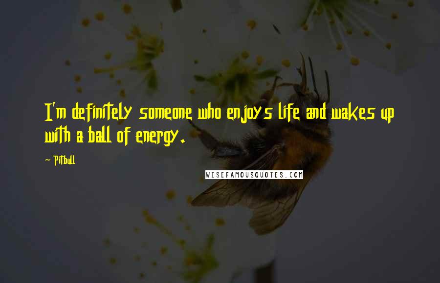 Pitbull Quotes: I'm definitely someone who enjoys life and wakes up with a ball of energy.