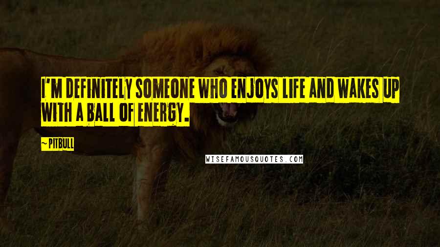 Pitbull Quotes: I'm definitely someone who enjoys life and wakes up with a ball of energy.